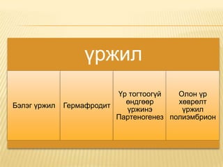 үржил
Бэлэг үржил

Үр тогтоогүй
Олон үр
өндгөөр
хөврөлт
Гермафродит
үржинэ
үржил
Партеногенез полиэмбрион

 