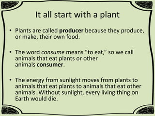 It all start with a plant
• Plants are called producer because they produce,
or make, their own food.
• The word consume means “to eat,” so we call
animals that eat plants or other
animals consumer.
• The energy from sunlight moves from plants to
animals that eat plants to animals that eat other
animals. Without sunlight, every living thing on
Earth would die.

 