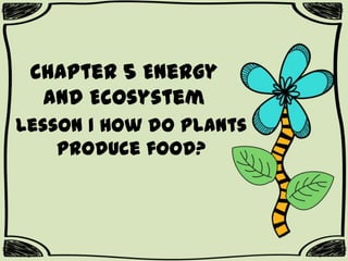 Chapter 5 Energy
and Ecosystem
Lesson 1 How do plants
produce food?

 