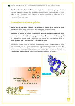 PRÁCTICA N°04: Obtención y Evaluación de almidón a partir de yuca, camote y olluco
El almidón se diferencia de los demás hidratos de carbono presentes en la naturaleza en que se presenta como
un conjunto de gránulos o partículas. Estos gránulos son relativamente densos e insolubles en agua fría, aunque
pueden dar lugar a suspensiones cuando se dispersan en el agua. Suspensiones que pueden variar en sus
propiedades en función de su origen.

El almidón como sustancia química
Desde el punto de vista químico el almidón es un polisacárido, el resultado de unir moléculas de glucosa
formando largas cadenas, aunque pueden aparecer otros constituyentes en cantidades mínimas.
El almidón es una sustancia que se obtiene exclusivamente de los vegetales que lo sintetizan a partir del dióxido
de carbono que toman de la atmósfera y del agua que toman del suelo. En el proceso se absorbe la energía del
sol y se almacena en forma de glucosa y uniones entre estas moléculas para formar las largas cadenas del
almidón, que pueden llegar a tener hasta 2000 o 3000 unidades de glucosa.
El almidón está realmente formado por una mezcla de dos sustancias, amilosa y amilopectina, que sólo difieren
en su estructura: la forma en la que se unen las unidades de glucosa entre si para formar las cadenas. Pero
esto es determinante para sus propiedades. Así, la amilosa es soluble en agua y más fácilmente hidrolizable que

La utilidad del almidón

PROCESOS AGROINDUSTRIALES

la amilopectina (es más fácil romper su cadena para liberar las moléculas de glucosa).

 