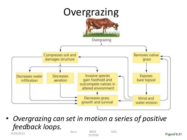 Overgrazing diagram overgrazing diagram
