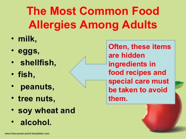 Religious Food Restrictions  Food