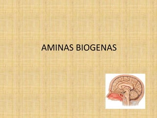 AMINAS BIOGENAS

 