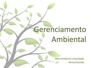 Gerenciamento
Ambiental
Meio Ambiente e Sociedade
Roney Gusmão

 