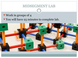 5.1 midsegment | PPT