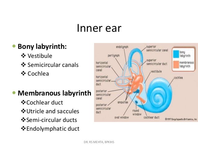 5. menier's disease