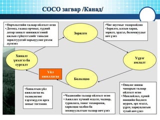 лекц №5
