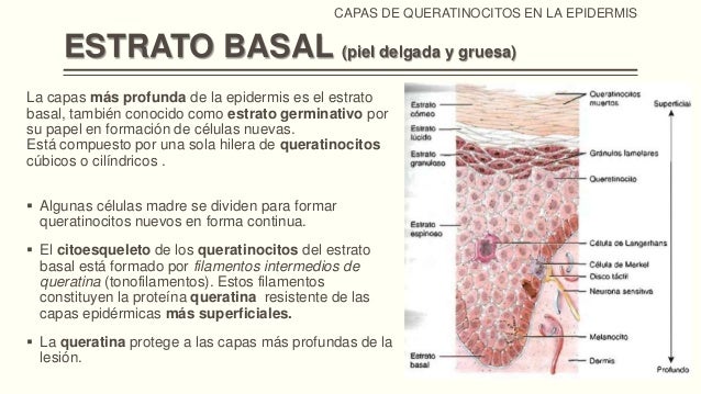 Filamento O Parte Muy Delgada De Una Cosa