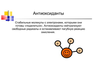 Антиоксиданты
Стабильные молекулы с электронами, которыми они
готовы «поделиться». Антиоксиданты нейтрализуют
свободные радикалы и останавливают пагубную реакцию
окисления.

e-

e-



e-

 