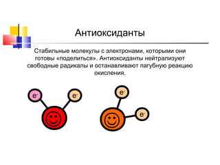 Антиоксиданты
Стабильные молекулы с электронами, которыми они
готовы «поделиться». Антиоксиданты нейтрализуют
свободные радикалы и останавливают пагубную реакцию
окисления.

e

e

-

-



e-



e-

 