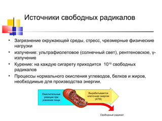 Источники свободных радикалов
•
•
•
•

Загрязнение окружающей среды, стресс, чрезмерные физические
нагрузки
излучение: ультрафиолетовое (солнечный свет), рентгеновское, γизлучение
Курение: на каждую сигарету приходится 1016 свободных
радикалов
Процессы нормального окисления углеводов, белков и жиров,
необходимые для производства энергии.
Окислительные
реакции при
усвоении пищи

Вырабатывается
клеточная энергия
(АТФ)

Свободный радикал

 