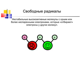 Свободные радикалы
Нестабильные высокоактивные молекулы с одним или
более неспаренными электронами, которые «отбирают»
электроны у других молекул.

e-

e-





e-



 