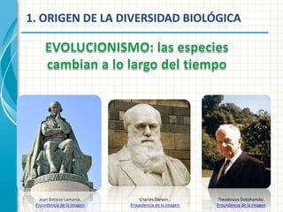 1. ORIGEN DE LA DIVERSIDAD BIOLÓGICA

Jean Batipse Lamarck.
Procedencia de la imagen

Charles Darwin .
Procedencia de la imagen

Theodosius Dobzhansky.
Procedencia de la imagen

 