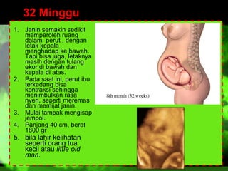 32 Minggu
1. Janin semakin sedikit
memperoleh ruang
dalam perut , dengan
letak kepala
menghadap ke bawah.
Tapi bisa juga, letaknya
masih dengan tulang
ekor di bawah dan
kepala di atas.
2. Pada saat ini, perut ibu
terkadang bisa
kontraksi sehingga
menimbulkan rasa
nyeri, seperti meremas
dan memijat janin.
3. Mulai tampak mengisap
jempol.
4. Panjang 40 cm, berat
1800 gr

5. bila lahir kelihatan
seperti orang tua
kecil atau little old
man.

 