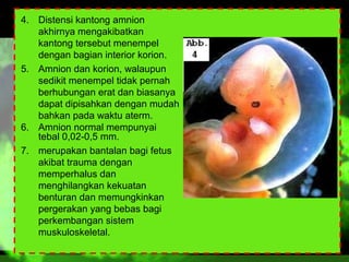 4. Distensi kantong amnion
akhirnya mengakibatkan
kantong tersebut menempel
dengan bagian interior korion.
5. Amnion dan korion, walaupun
sedikit menempel tidak pernah
berhubungan erat dan biasanya
dapat dipisahkan dengan mudah
bahkan pada waktu aterm.
6. Amnion normal mempunyai
tebal 0,02-0,5 mm.
7. merupakan bantalan bagi fetus
akibat trauma dengan
memperhalus dan
menghilangkan kekuatan
benturan dan memungkinkan
pergerakan yang bebas bagi
perkembangan sistem
muskuloskeletal.

 
