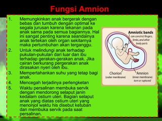Fungsi Amnion
1.

2.

3.
4.
5.

Memungkinkan anak bergerak dengan
bebas dan tumbuh dengan optimal ke
segala jurusan karena tekanan pada
anak sama pada semua bagiannya. Hal
ini sangat penting karena seandainya
anak tertekan oleh organ sekitarnya
maka pertumbuhan akan terganggu.
Untuk melindungi anak terhadap
pukulan-pukulan dari luar dan ibu
terhadap gerakan-gerakan anak. Jika
cairan berkurang pergerakan anak
dirasakan nyeri oleh ibu.
Mempertahankan suhu yang tetap bagi
anak.
Mencegah terjadinya perlengketan
Waktu persalinan membuka servik
dengan mendorong selaput janin
kedalam ostium uteri. Bagian selaput
anak yang diatas ostium uteri yang
menonjol waktu his disebut ketuban
dan membuka servik pada saat
persalinan.

 