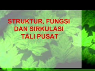 STRUKTUR, FUNGSI
DAN SIRKULASI
TALI PUSAT

 
