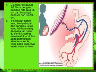 4. Diameter tali pusat
1-2,5 cm dengan
panjang rata-rata 55
cm dan biasanya
berkisar dari 30-100
cm.
5. Pembuluh darah
yang berlipat-lipat
dan berkelok-kelok
yang lebih panjang
daripada tali pusat
itu sendiri, sering
membentuk nodulasi
pada permukaan
atau false knots,
yang pada dasarnya
merupakan varises.

 