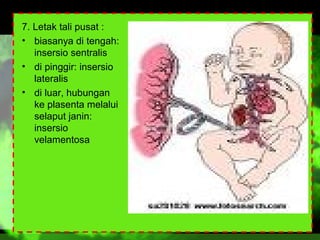 7. Letak tali pusat :
• biasanya di tengah:
insersio sentralis
• di pinggir: insersio
lateralis
• di luar, hubungan
ke plasenta melalui
selaput janin:
insersio
velamentosa

 