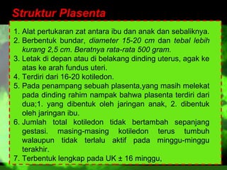 Struktur Plasenta
1. Alat pertukaran zat antara ibu dan anak dan sebaliknya.
2. Berbentuk bundar, diameter 15-20 cm dan tebal lebih
kurang 2,5 cm. Beratnya rata-rata 500 gram.
3. Letak di depan atau di belakang dinding uterus, agak ke
atas ke arah fundus uteri.
4. Terdiri dari 16-20 kotiledon.
5. Pada penampang sebuah plasenta,yang masih melekat
pada dinding rahim nampak bahwa plasenta terdiri dari
dua;1. yang dibentuk oleh jaringan anak, 2. dibentuk
oleh jaringan ibu.
6. Jumlah total kotiledon tidak bertambah sepanjang
gestasi. masing-masing kotiledon terus tumbuh
walaupun tidak terlalu aktif pada minggu-minggu
terakhir.
7. Terbentuk lengkap pada UK ± 16 minggu,

 