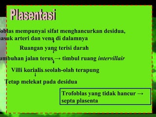 foblas mempunyai sifat menghancurkan desidua,
masuk arteri dan vena di dalamnya
Ruangan yang terisi darah

umbuhan jalan terus → timbul ruang intervillair
Villi korialis seolah-olah terapung
Tetap melekat pada desidua
Trofoblas yang tidak hancur →
septa plasenta

 