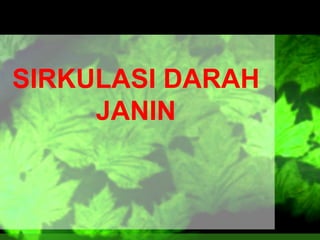 SIRKULASI DARAH
JANIN

 