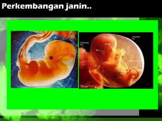 Perkembangan janin..

 