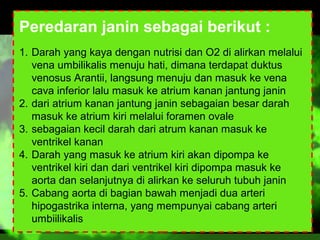 Peredaran janin sebagai berikut :
1. Darah yang kaya dengan nutrisi dan O2 di alirkan melalui
vena umbilikalis menuju hati, dimana terdapat duktus
venosus Arantii, langsung menuju dan masuk ke vena
cava inferior lalu masuk ke atrium kanan jantung janin
2. dari atrium kanan jantung janin sebagaian besar darah
masuk ke atrium kiri melalui foramen ovale
3. sebagaian kecil darah dari atrum kanan masuk ke
ventrikel kanan
4. Darah yang masuk ke atrium kiri akan dipompa ke
ventrikel kiri dan dari ventrikel kiri dipompa masuk ke
aorta dan selanjutnya di alirkan ke seluruh tubuh janin
5. Cabang aorta di bagian bawah menjadi dua arteri
hipogastrika interna, yang mempunyai cabang arteri
umbiilikalis

 