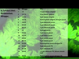 b. Fundus Uteri
Berdasarkan
Minggu:

No

Minggu

TFU

1

12

1-2 jari diatas simpisis

2

12-14

3 jari diatas simpisis

3

14-16

4 jari diatas simpisis

4

16-18

Pertengahan simpisis dengan pusat

5

18-20

3 jari dibawah pusat

6

20-22

2 jari dibawah pusat

7

22-24

1 jari dibawah pusat

8

24

Setinggi pusat

9

24-26

1 jari diatas pusat

10

26-28

2 jari datas pusat

11

28-30

3 jari diatas pusat

12

30-32

4 jari diatas pusat

13

32-34

Pertengahan pusat dengan PX

14

34-36

4 jari dibawah PX

15

36-38

3 jari dibawah PX

16

38-40

1-2 jari dibawah PX, belum masuk
PAP

17

38-40

Pertengahan pusat dengan PX ,
sudah masuk PAP

 