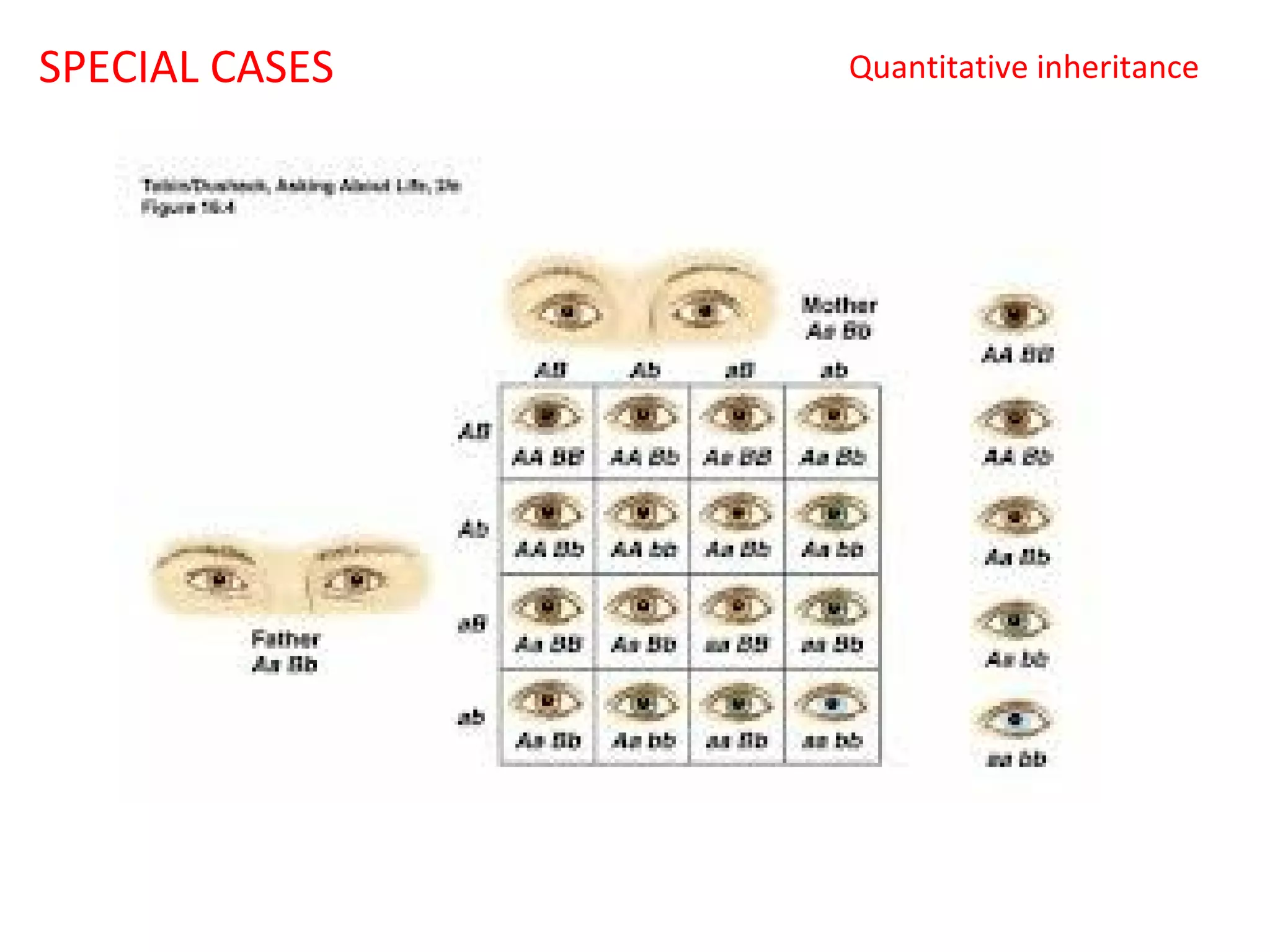 SPECIAL CASES

Quantitative inheritance

 