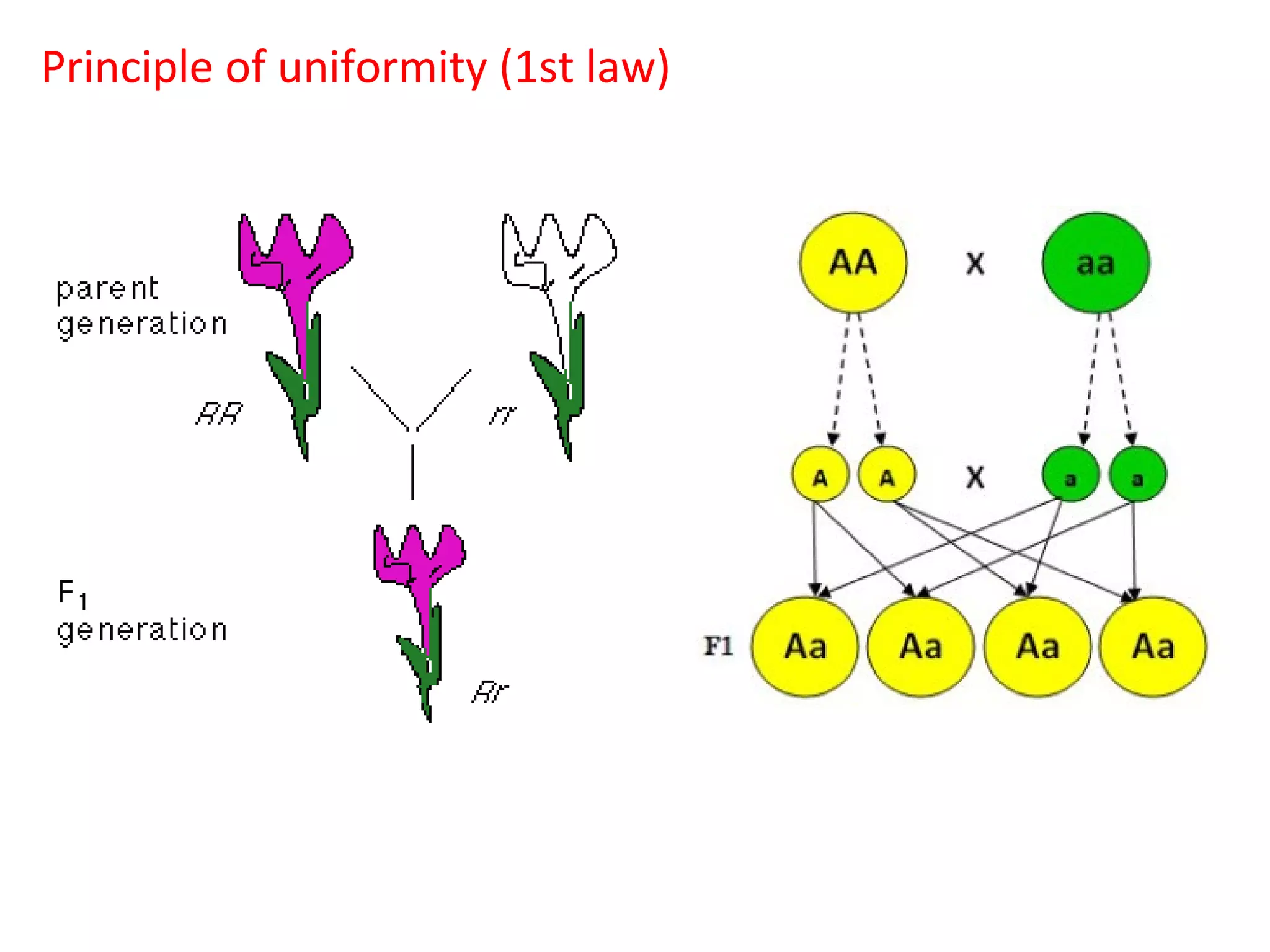 Principle of uniformity (1st law)

 