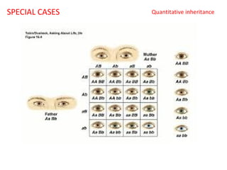 SPECIAL CASES

Quantitative inheritance

 