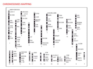 CHROMOSOMES MAPPING

 