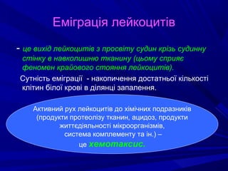 Еміграція лейкоцитів
- це вихід лейкоцитів з просвіту судин крізь судинну
стінку в навколишню тканину (цьому сприяє
феномен крайового стояння лейкоцитів).
Сутність еміграції - накопичення достатньої кількості
клітин білої крові в ділянці запалення.
Активний рух лейкоцитів до хімічних подразників
(продукти протеолізу тканин, ацидоз, продукти
життєдіяльності мікроорганізмів,
система комплементу та ін.) –
це хемотаксис.

 