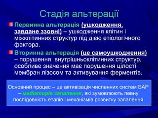 Стадія альтерації
Первинна альтерація (ушкодження,
завдане ззовні) – ушкодження клітин і
міжклітинних структур під дією етіологічного
фактора.
Вторинна альтерація (це самоушкодження)
– порушення внутрішньоклітинних структур,
особливе значення має порушення цілості
мембран лізосом та активування ферментів.
Основний процес – це активізація численних систем БАР
– медіаторів запалення, які зумовлюють певну
послідовність етапів і механізмів розвитку запалення.

 