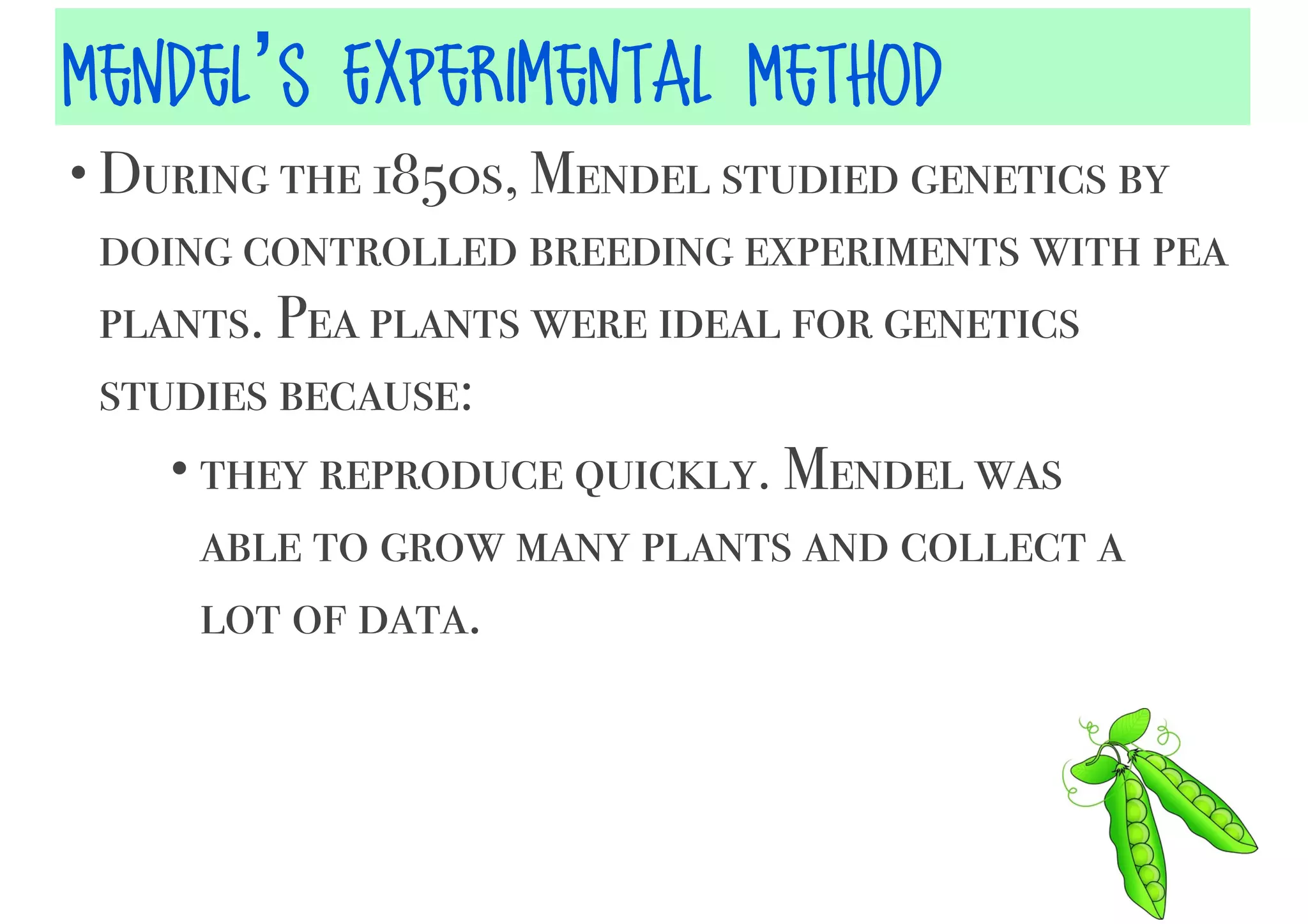 Mendel and his Peas | PDF