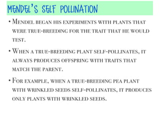 Mendel’s Self Pollination
• Mendel began his experiments with plants that

were true-breeding for the trait that he would
test.
• When a true-breeding plant self-pollinates, it

always produces offspring with traits that
match the parent.
• For example, when a true-breeding pea plant

with wrinkled seeds self-pollinates, it produces
only plants with wrinkled seeds.

 