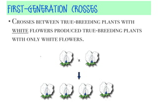 First-Generation Crosses
• Crosses between true-breeding plants with

white flowers produced true-breeding plants
with only white flowers.

 