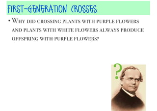 First-Generation Crosses
• Why did crossing plants with purple flowers

and plants with white flowers always produce
offspring with purple flowers?

?

 