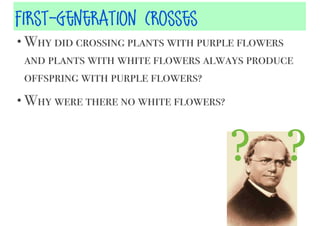 First-Generation Crosses
• Why did crossing plants with purple flowers

and plants with white flowers always produce
offspring with purple flowers?
• Why were there no white flowers?

? ?

 