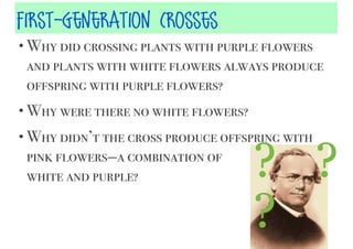 First-Generation Crosses
• Why did crossing plants with purple flowers

and plants with white flowers always produce
offspring with purple flowers?
• Why were there no white flowers?
• Why didn’t the cross produce offspring with

pink flowers—a combination of
white and purple?

? ?
?

 