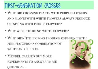 First-Generation Crosses
• Why did crossing plants with purple flowers

and plants with white flowers always produce
offspring with purple flowers?
• Why were there no white flowers?
• Why didn’t the cross produce offspring with

pink flowers—a combination of
white and purple?
• Mendel carried out more

experiments to answer these
questions.

? ?
? ?

?

 