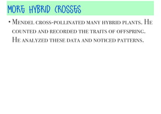 More HyBrid Crosses
• Mendel cross-pollinated many hybrid plants. He

counted and recorded the traits of offspring.
He analyzed these data and noticed patterns.

 