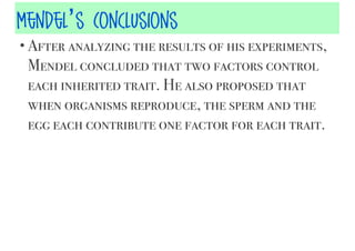 Mendel’s Conclusions
• After analyzing the results of his experiments,

Mendel concluded that two factors control
each inherited trait. He also proposed that
when organisms reproduce, the sperm and the
egg each contribute one factor for each trait.

 
