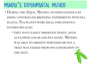 Mendel’s Experimental Method
• During the 1850s, Mendel studied genetics by

doing controlled breeding experiments with pea
plants. Pea plants were ideal for genetics
studies because:
• they have easily observed traits, such
as flower color and pea shape. Mendel
was able to observe whether or not a
trait was passed from one generation to
the next.

 