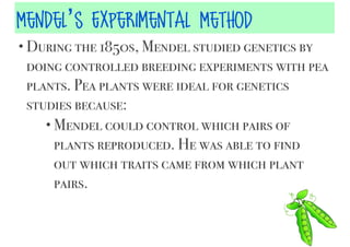 Mendel’s Experimental Method
• During the 1850s, Mendel studied genetics by

doing controlled breeding experiments with pea
plants. Pea plants were ideal for genetics
studies because:
• Mendel could control which pairs of
plants reproduced. He was able to find
out which traits came from which plant
pairs.

 