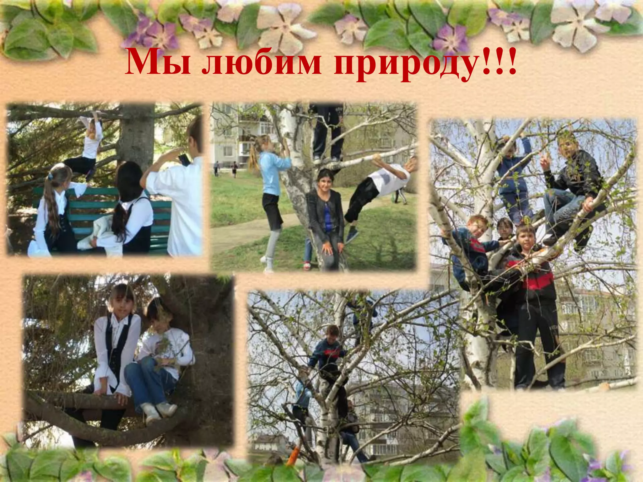 Мы любим природу!!!

 