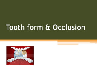  Tooth form & Occlusion
  

 
