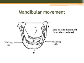 tooth form and occlusion | PDF