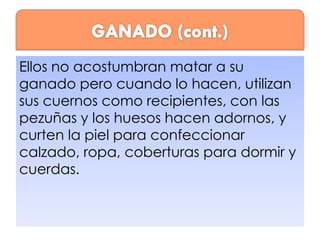 Ellos no acostumbran matar a su
ganado pero cuando lo hacen, utilizan
sus cuernos como recipientes, con las
pezuñas y los huesos hacen adornos, y
curten la piel para confeccionar
calzado, ropa, coberturas para dormir y
cuerdas.

 